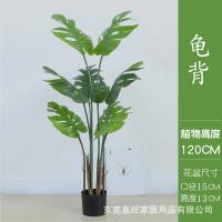 XU0612661